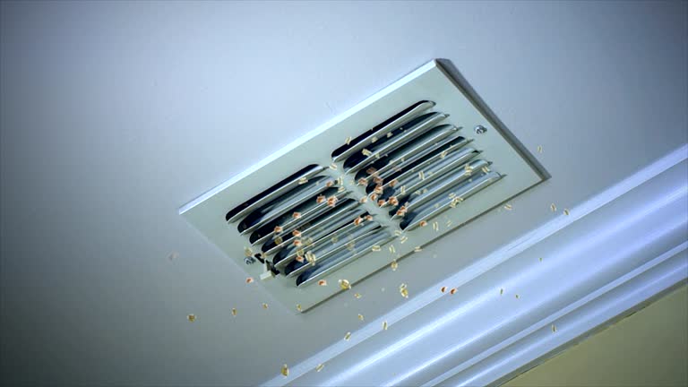 Best HVAC Maintenance and Cleaning  in Delcambre, LA